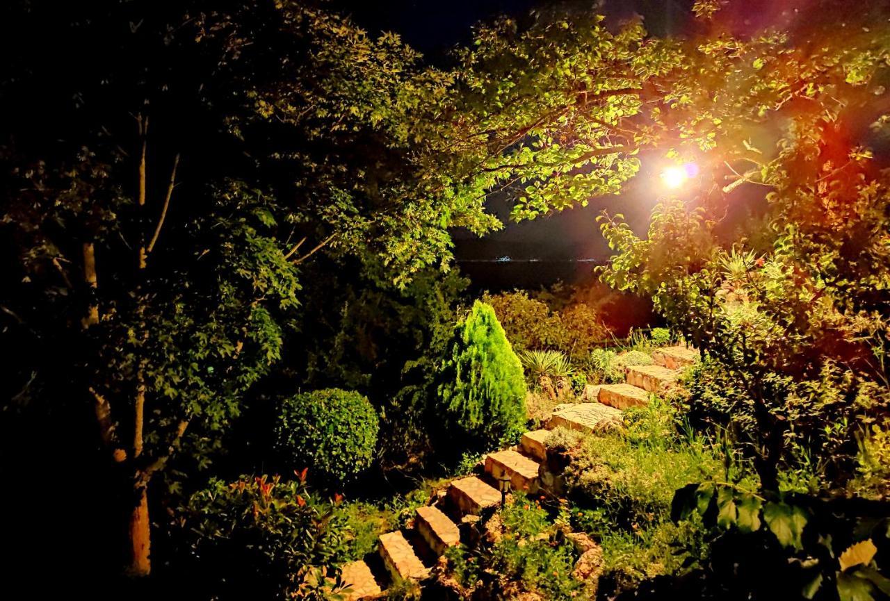 Villa Forest Paradise オフリド エクステリア 写真
