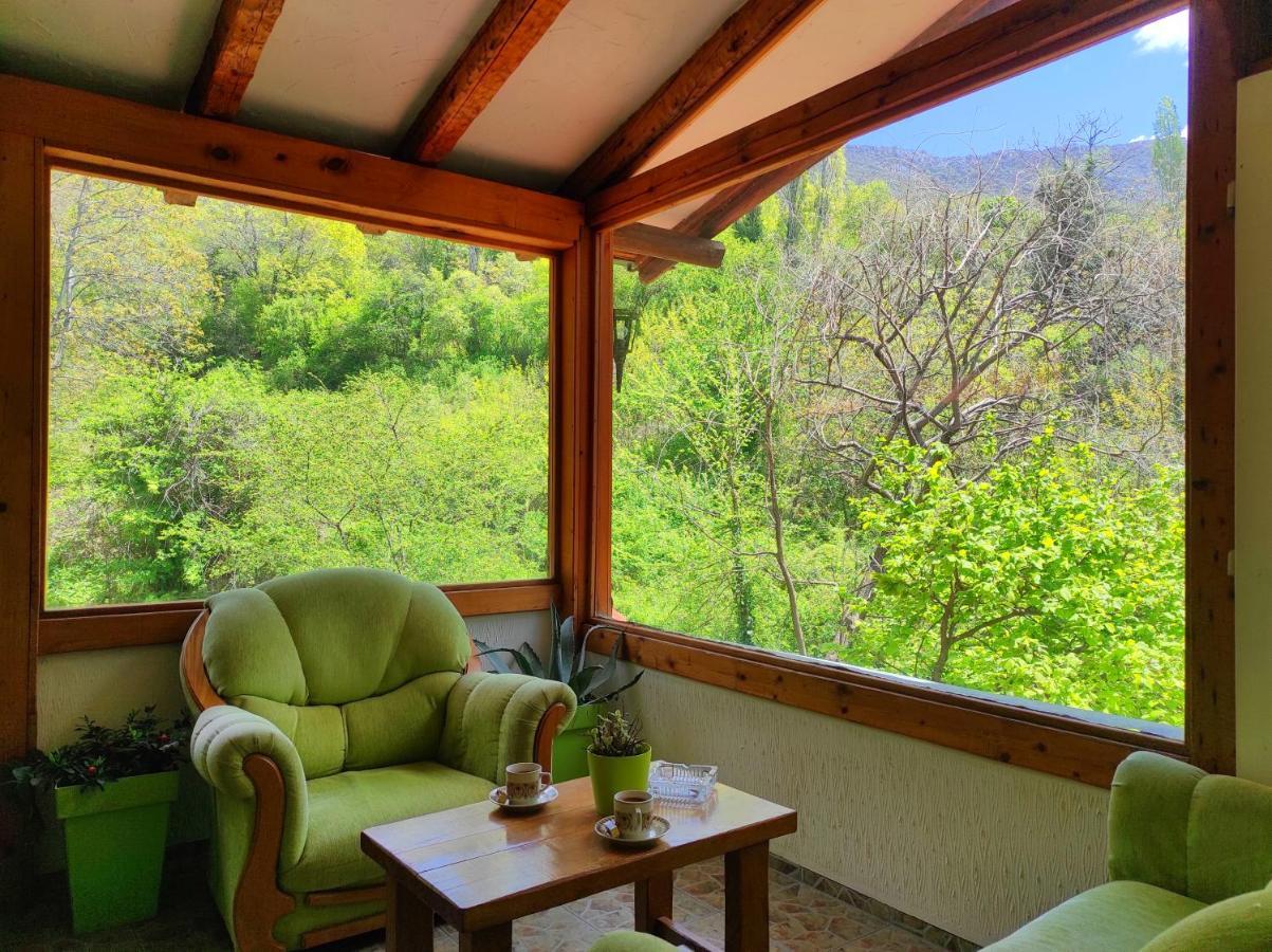 Villa Forest Paradise オフリド エクステリア 写真