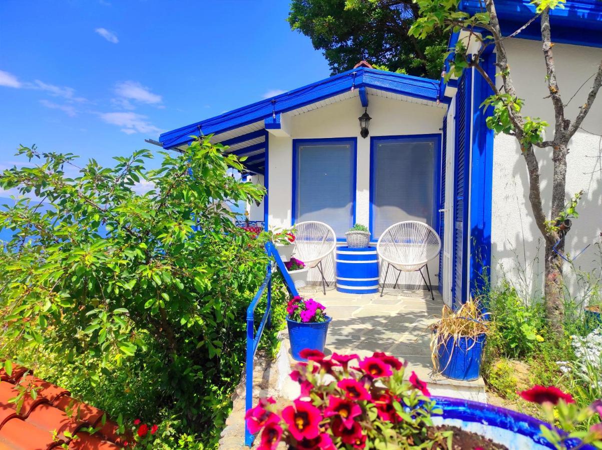Villa Forest Paradise オフリド エクステリア 写真