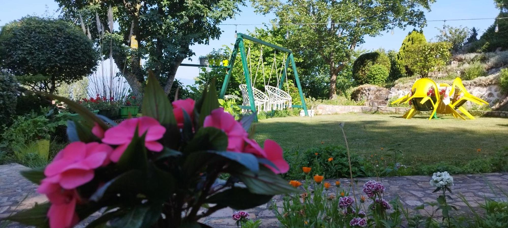 Villa Forest Paradise オフリド エクステリア 写真